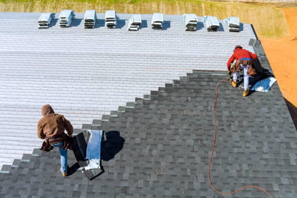 Best Roof Gutter Cleaning  in Lake Barcroft, VA