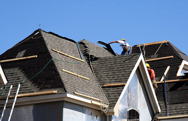 Best Metal Roofing Contractor  in Lake Barcroft, VA