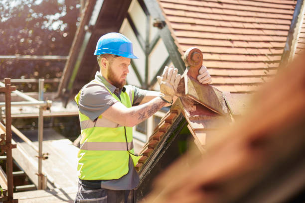 Best Metal Roofing Contractor  in Lake Barcroft, VA